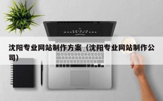 廊坊沈阳专业网站制作方案（沈阳专业网站制作公司）